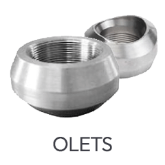 304L Olets 304L Olets